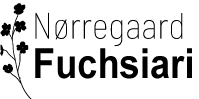 Nørregaard Fuchsiari